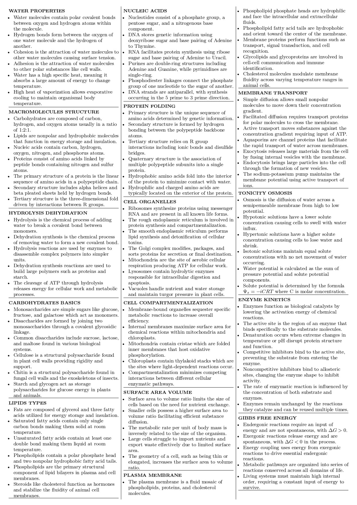 AP Biology cheat sheet example